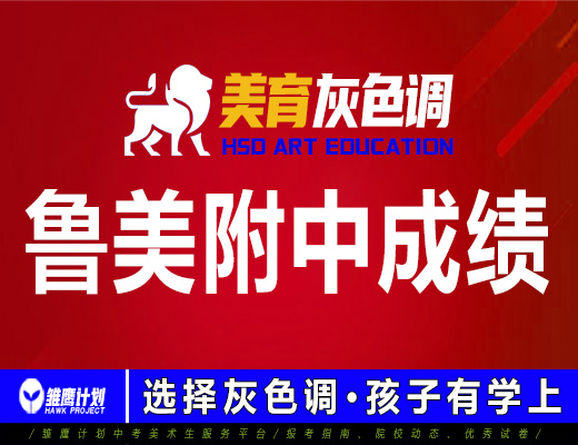 2021年灰色调画室鲁美附中录取成绩