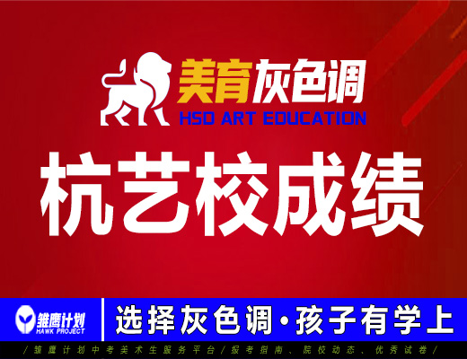 2021年灰色调画室杭艺校录取成绩