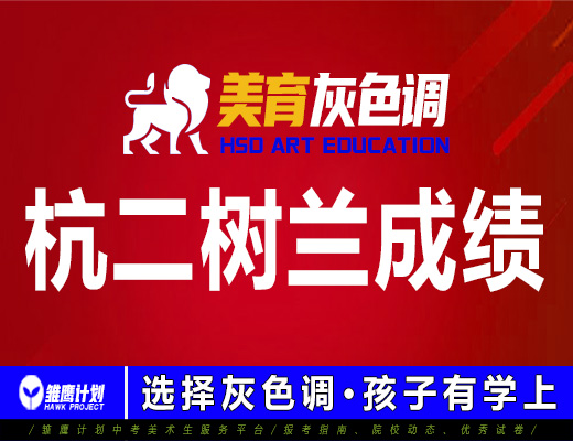 2021年灰色调画室杭二树兰录取成绩