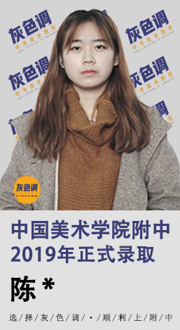 2020年国美附中成绩