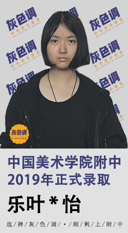 2020年国美附中成绩