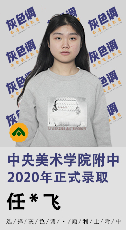 2020年国美附中成绩