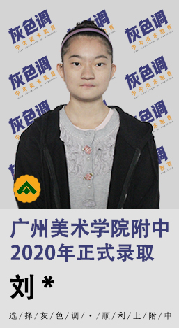 2020年国美附中成绩
