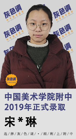 2020年国美附中成绩