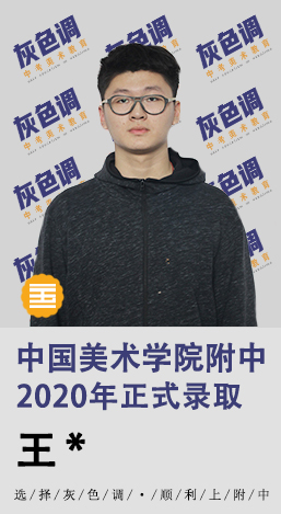 2020年国美附中成绩