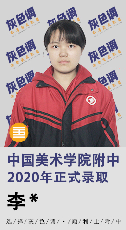2020年国美附中成绩