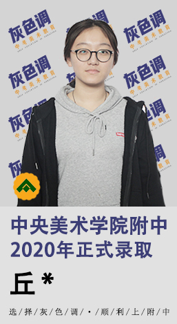 2020年国美附中成绩