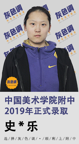 2020年国美附中成绩