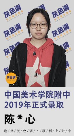 2020年国美附中成绩