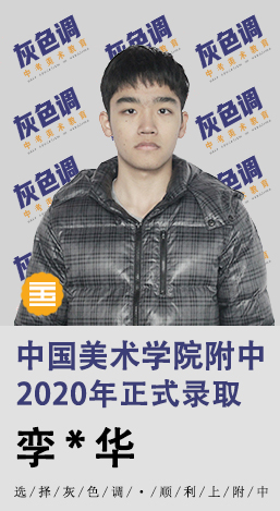 2020年国美附中成绩