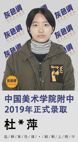2020年国美附中成绩