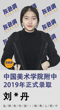 2020年国美附中成绩