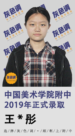 2020年国美附中成绩