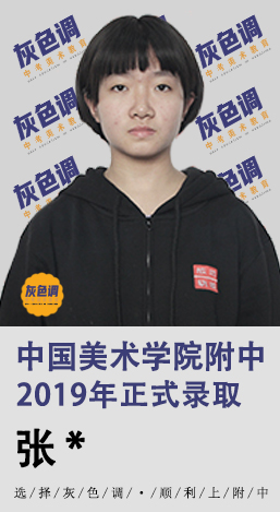 2020年国美附中成绩