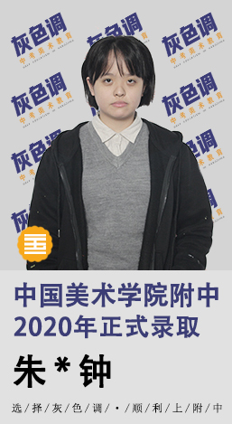2020年国美附中成绩