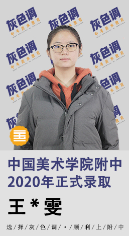 2020年国美附中成绩