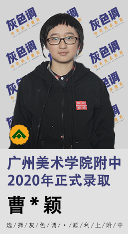 2020年国美附中成绩