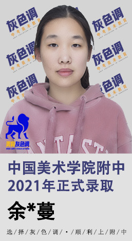 2020年国美附中成绩