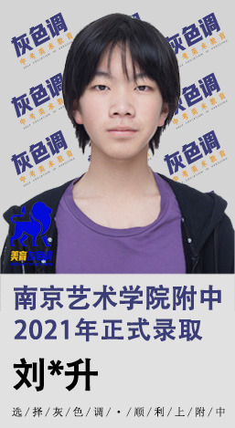 2020年国美附中成绩